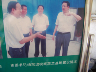 天长市委书记杨东坡视察蔬菜基地建设情况